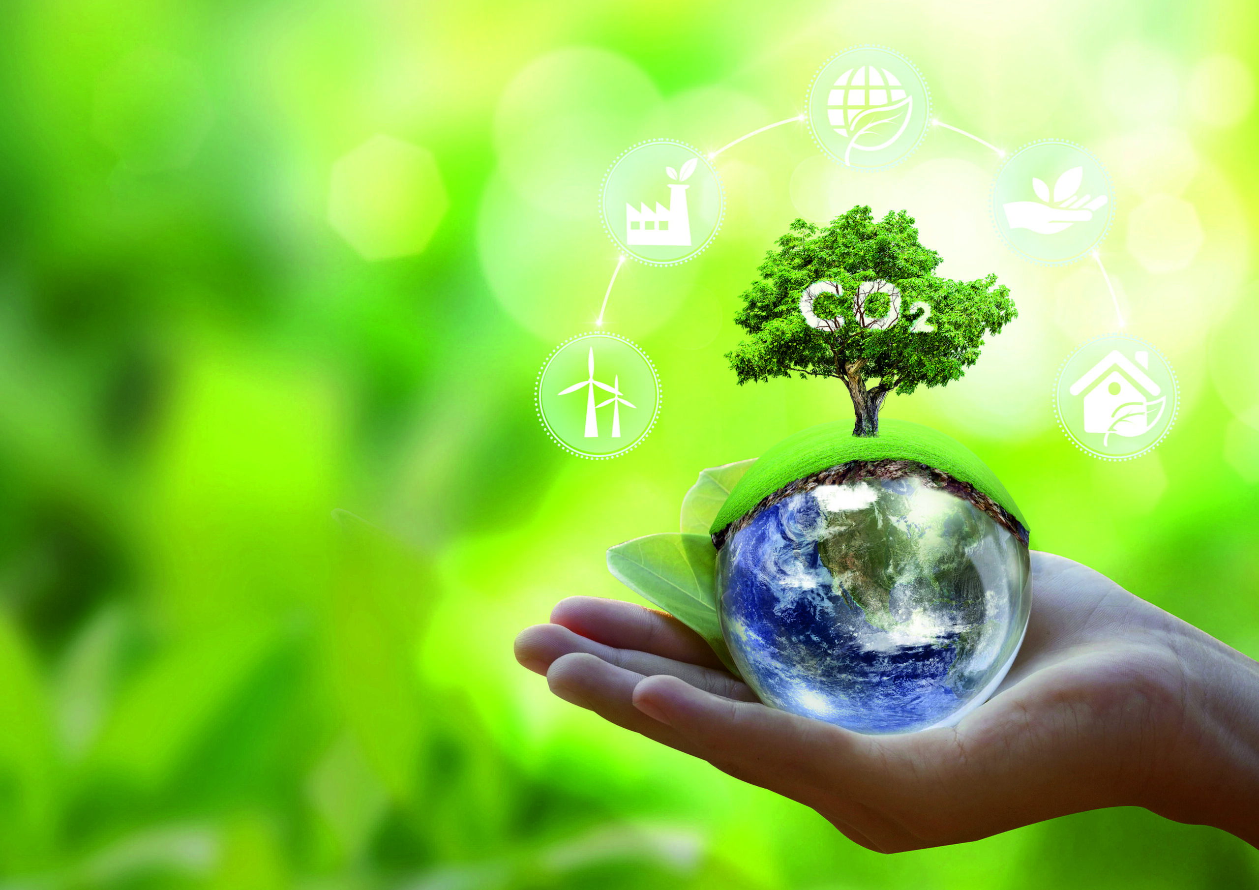 Carbon Reduction Plan